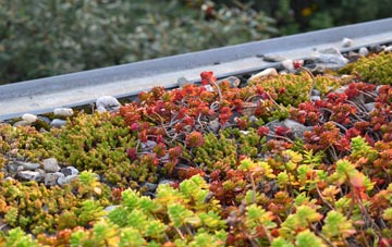 the cost of Thimbleby green roof installation