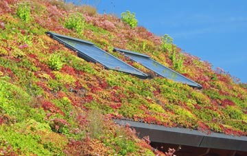 Thimbleby living roof systems