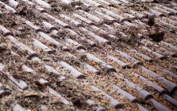 Thimbleby roof cleaning companies