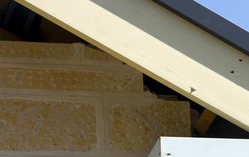 soffit repair Thimbleby